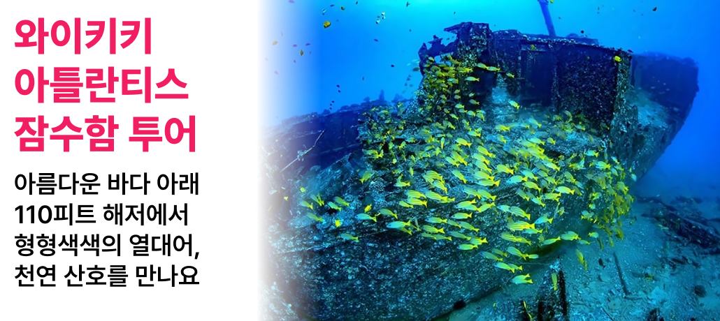 와이키키 아틀란티스 잠수함 투어