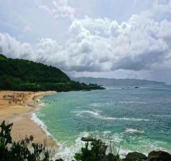 하와이 오아후 투어로 발견하는 와이키키 너머의 숨은 명소들