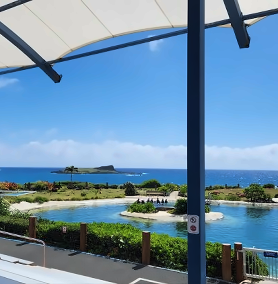 씨라이프 파크 - 돌핀 인카운터