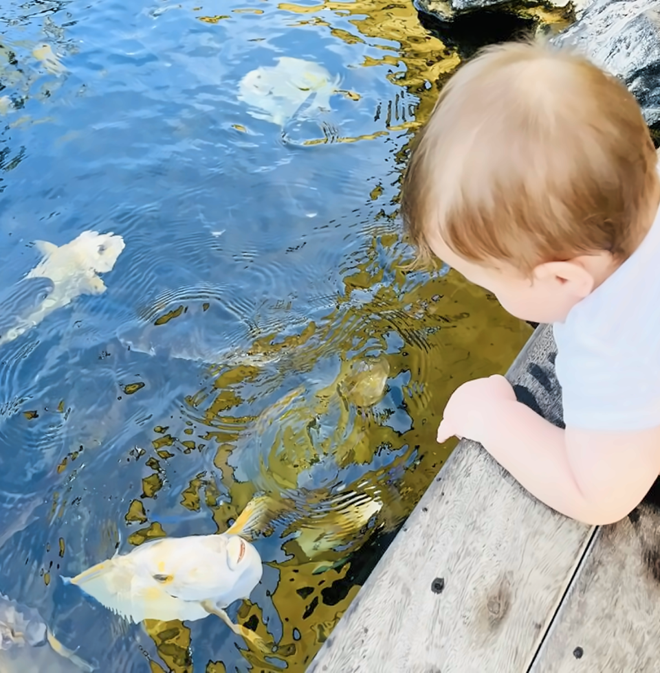 씨라이프 파크 - 입장권