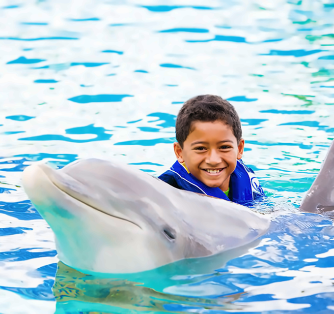 씨라이프 파크 - 돌핀 익스플로레이션