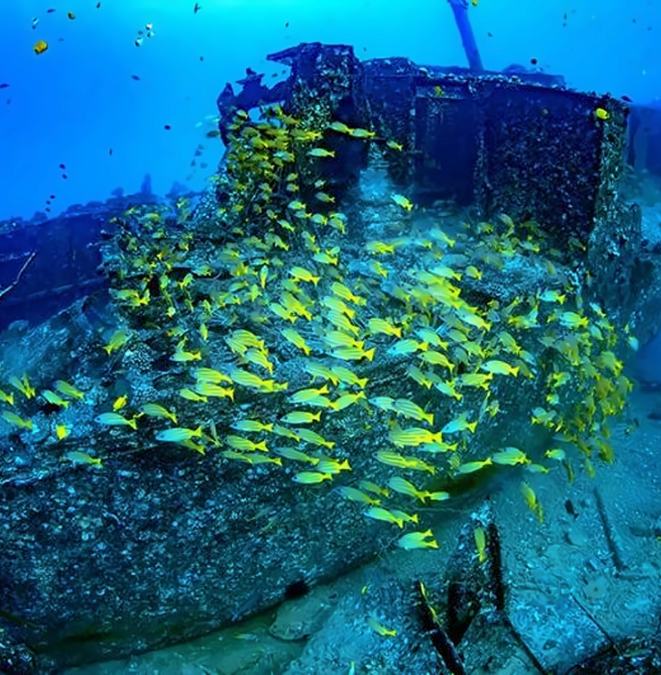 와이키키 아틀란티스 프리미엄 잠수함 투어