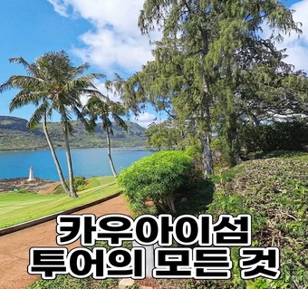 카우아이섬 당일치기 투어, 오아후에서 정말 가능할까요?