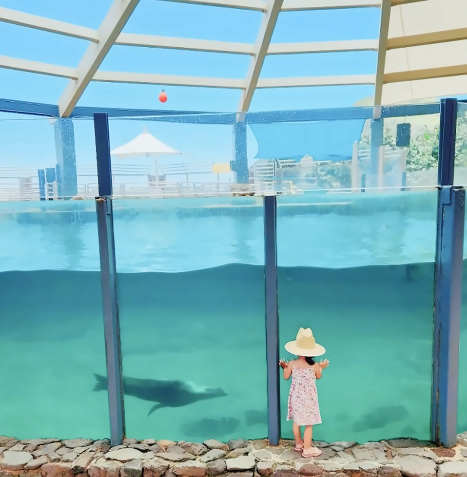 씨라이프 파크 - 입장권