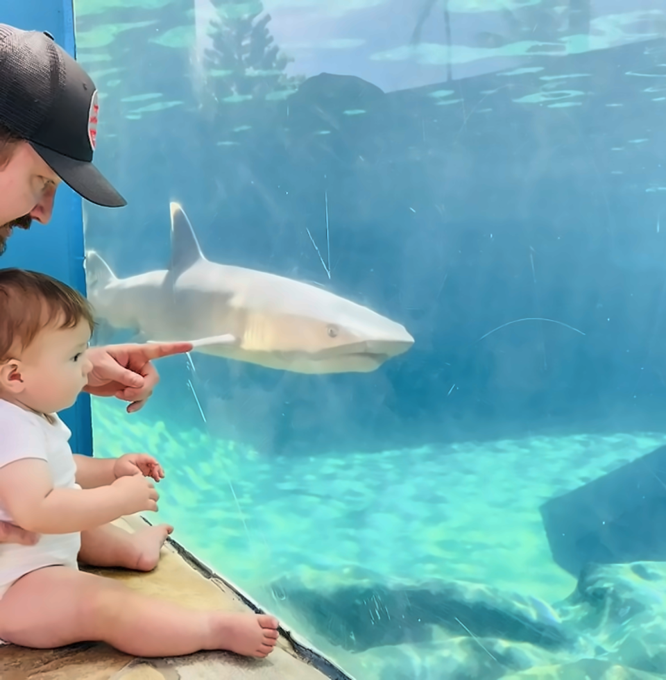 씨라이프 파크 - 입장권