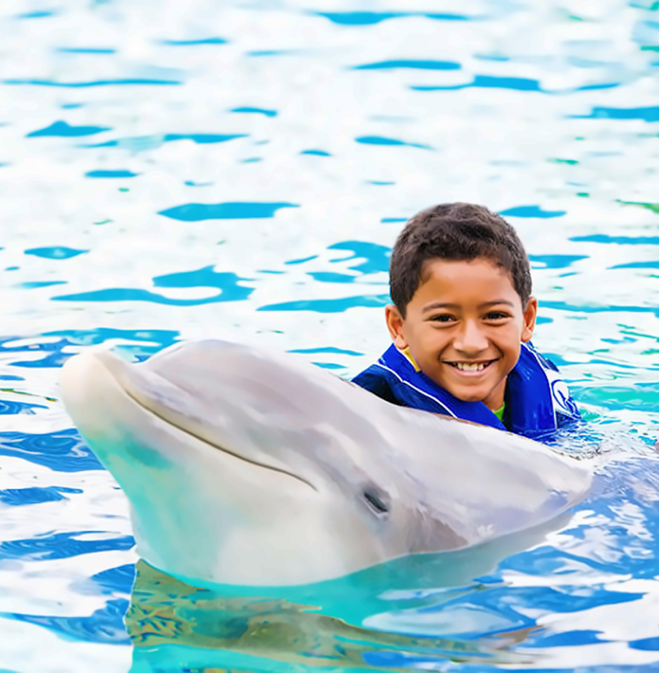 씨라이프 파크 - 돌핀 익스플로레이션