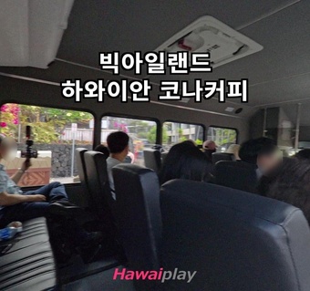 하와이 코나 커피 완벽 쇼핑 가이드: 공항별 구매 타이밍과 매장 정보