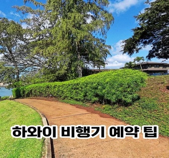 하와이 항공료 절약하는 발권 타이밍과 예약 꿀팁