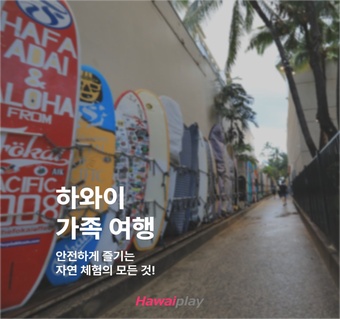 하와이 가족여행 필수 코스 5곳: 아이들과 안전하게 즐기는 완벽 가이드