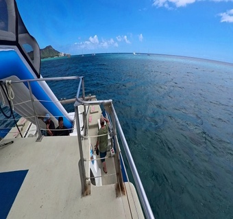 하와이 어린이 스노클링 완벽 가이드: 가족 모두 만족하는 해양 액티비티