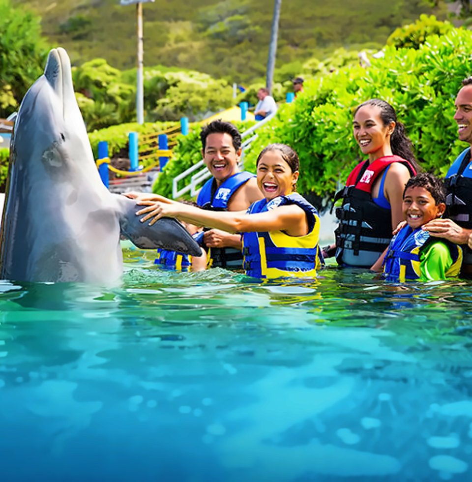 씨라이프 파크 - 돌핀 인카운터