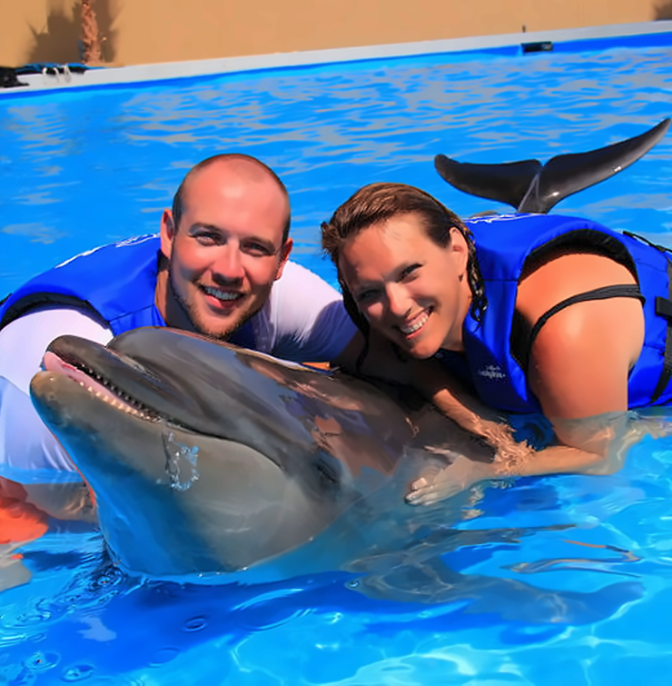 씨라이프 파크 - 돌핀 익스플로레이션