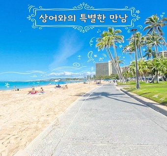 하와이 상어 체험 무서울까? 씨라이프파크 리프 샤크 엔카운터 솔직 후기