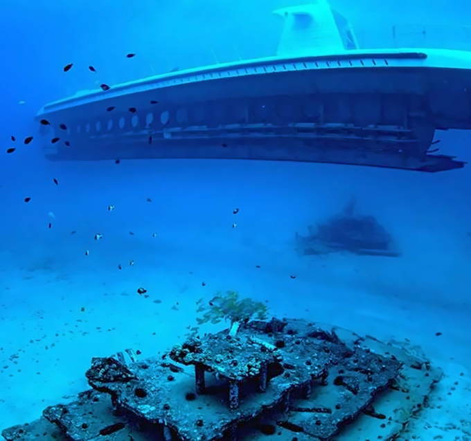 와이키키 아틀란티스 프리미엄 잠수함 투어