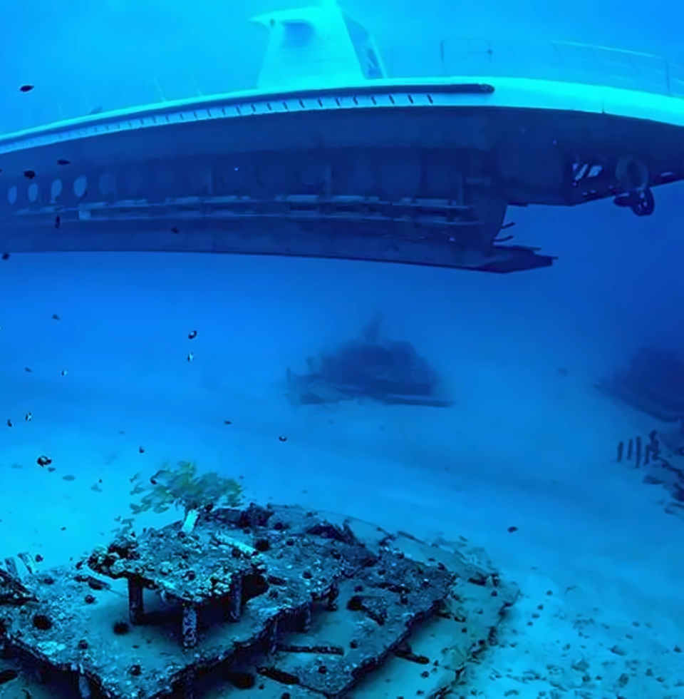 와이키키 아틀란티스 프리미엄 잠수함 투어