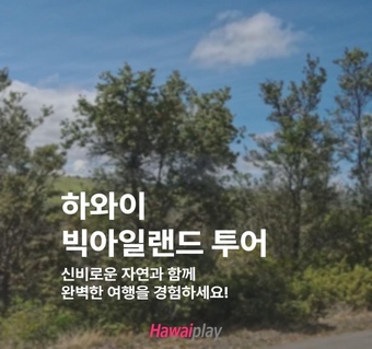 하와이 빅아일랜드 일일투어 완벽 가이드  지구의 모든 풍경을 하루에!