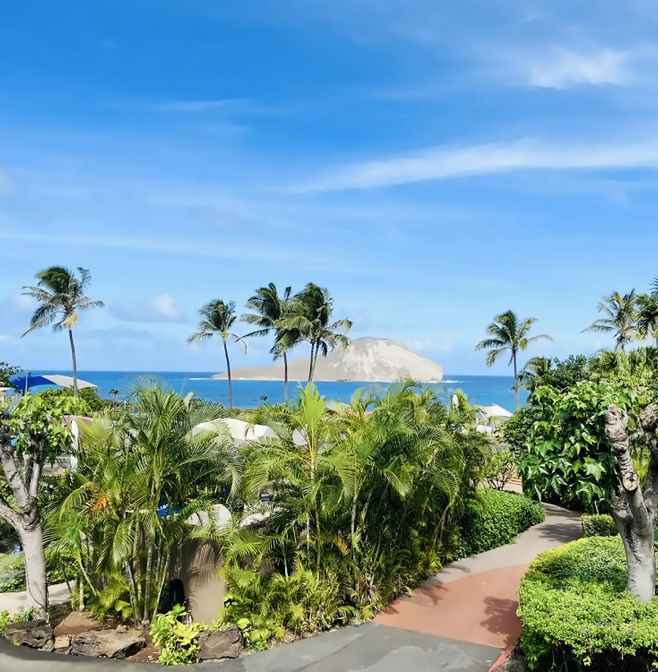 씨라이프 파크 - 입장권