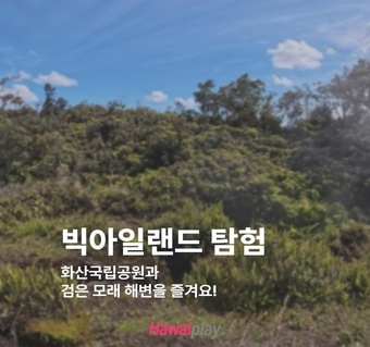 하와이 빅아일랜드 완벽 가이드: 화산국립공원부터 검은모래해변까지! ✨