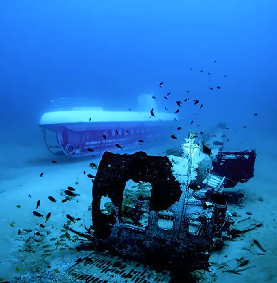 와이키키 아틀란티스 프리미엄 잠수함 투어