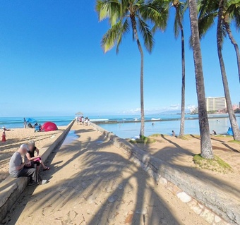 하와이 글라이더 좌석 선택 가이드: 바다 전망 명당 자리는 어디일까?