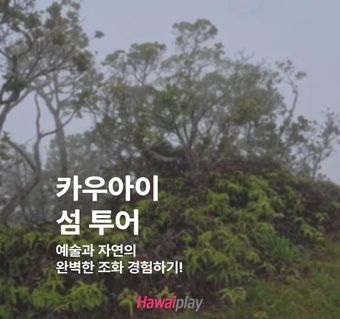 하와이 카우아이 섬 완전정복! 영화 촬영지부터 숨겨진 명소까지 하루 투어 가이드 
