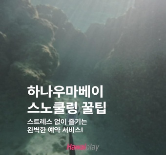 하나우마베이 스노클링 완전 정복! 예약부터 현지 꿀팁까지 총정리