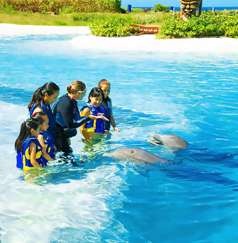 씨라이프 파크 - 돌핀 인카운터