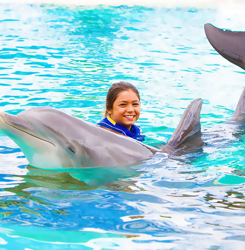 씨라이프 파크 - 돌핀 익스플로레이션