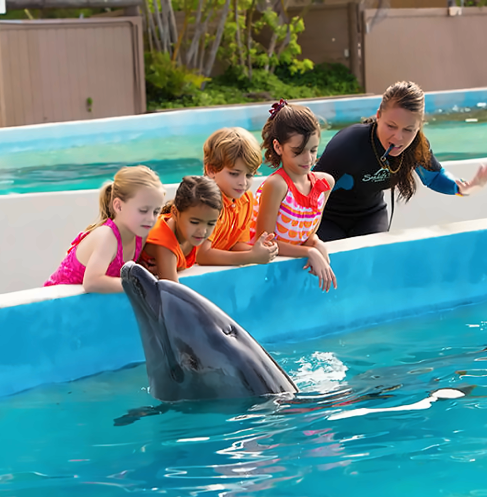 씨라이프 파크 - 돌핀 알로하