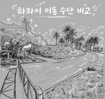 하와이 대가족 여행, 트롤리 vs 우버 선택 가이드